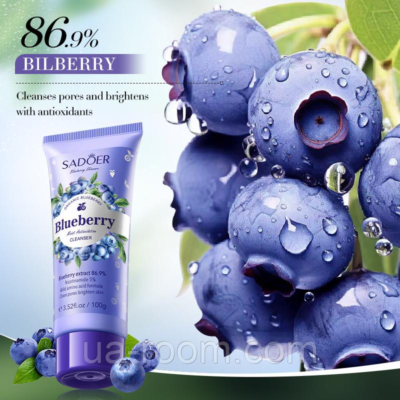 Пенка для лица с черникой Sadoer Blueberry Moist Antioxidation Cleanser, 100 мл.