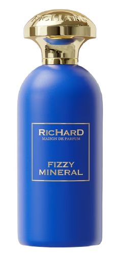 Парфум унісекс Richard Fizzy Mineral, 100 мл(premium)